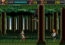 megadriv/supshin2 jpg snap thumbnail