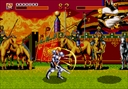 megadriv/whj jpg snap thumbnail