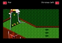 megadriv/zanygolf1 jpg snap thumbnail