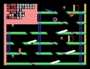 msx1_cart/csok jpg snap thumbnail