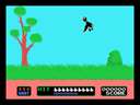 Duck Hunt