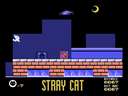 Stray Cat