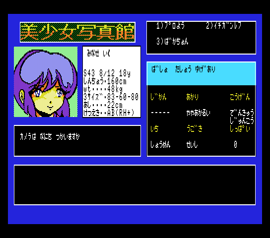 msx2_cart/doublvis png snap