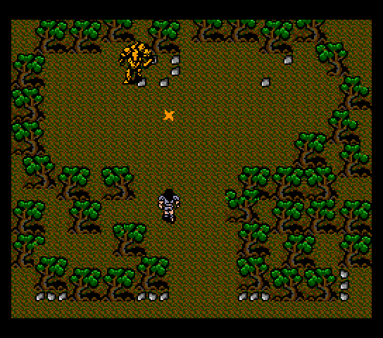 msx2_cart/garyuou png snap