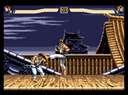 Street Fighter II