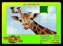 Wild Puzzle