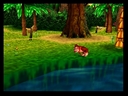Donkey Kong 64 (USA)