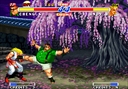 neogeo/rbff2k jpg snap thumbnail