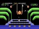 Donkey Kong 3 (World)