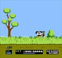 nes/duckhunt jpg snap thumbnail