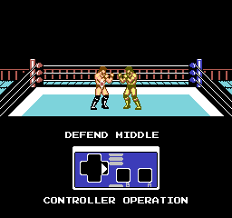 nes/fightsim png snap