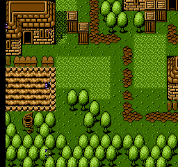 nes/grandiaa png snap