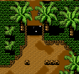 nes/guevara png snap