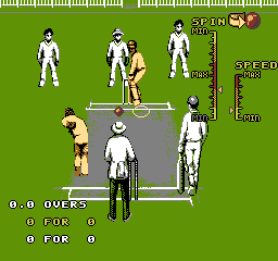 nes/intcricka png snap