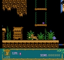 nes/lionkin3 jpg snap thumbnail