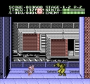 nes/ngaiden2 jpg snap thumbnail