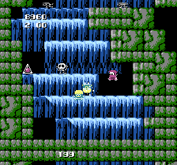 nes/ninjashs png snap