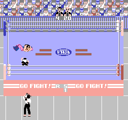 nes/prowres png snap