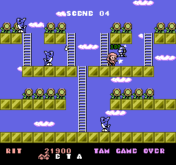 nes/rodland png snap