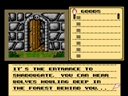 Shadowgate (Europe)