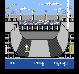 nes/skatedie png snap