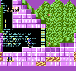 nes/sonic3d6h png snap