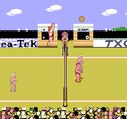 nes/venicebvs png snap