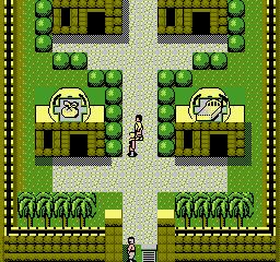 nes/xingjizb png snap