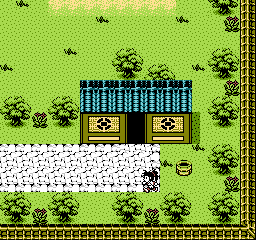 nes/zshhzlr png snap