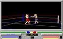 pc98/4dboxing jpg snap thumbnail