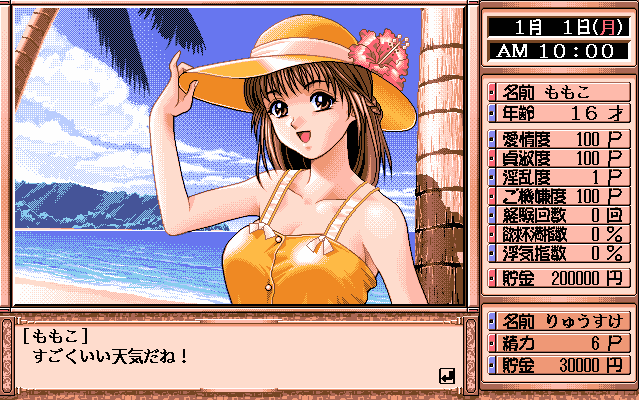 pc98/customt3 png snap