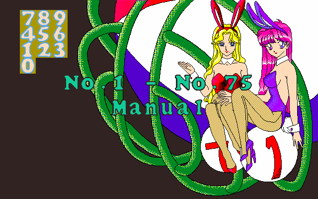 pc98/hypbingo png snap