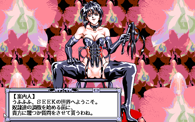 pc98/seek png snap