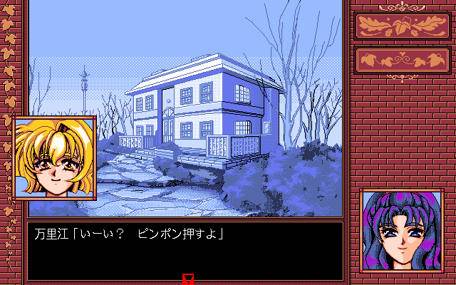 pc98/snowmem png snap