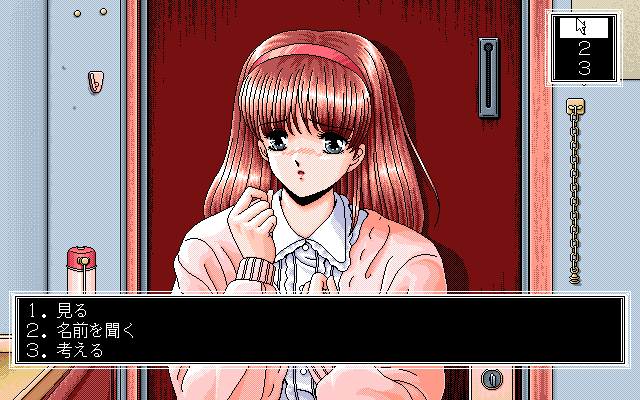 pc98/yudisk3 png snap