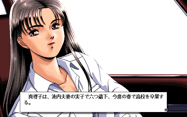 pc98/zatsuryo png snap