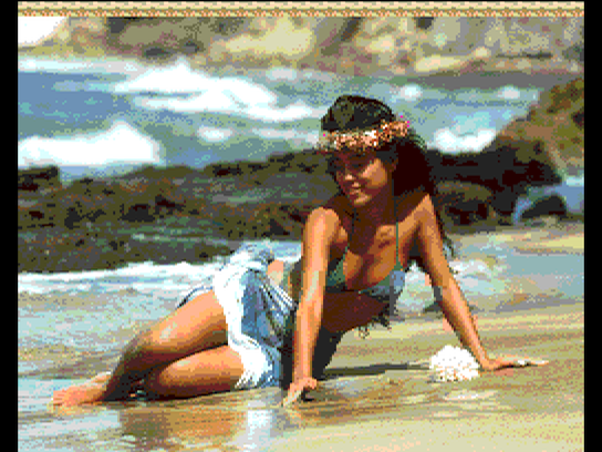 pcecd/hawaiiu png snap