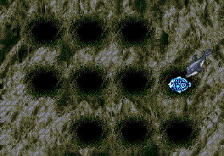 pico/eccojr png snap