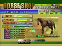 Gallop Racer (USA)