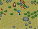 Harvest Moon - Back to Nature (USA)