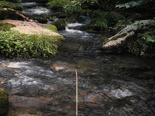 psx/reelfish png snap