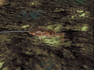 psx/reelfsh2 png snap