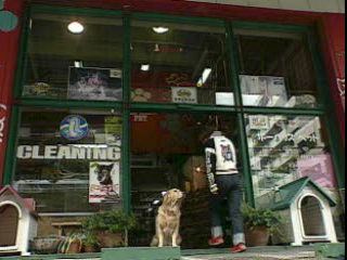 psx/sjs15inu png snap