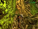 Tomb Raider III - Adventures of Lara Croft (USA, v1.2)