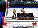 WCW vs. The World (USA)
