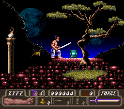 snes/firstsamp png snap