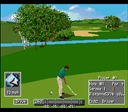 snes/pga96u jpg snap thumbnail