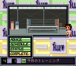 snes/shirorng png snap