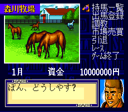 snes/sylphid png snap