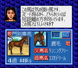 snes/winpost png snap